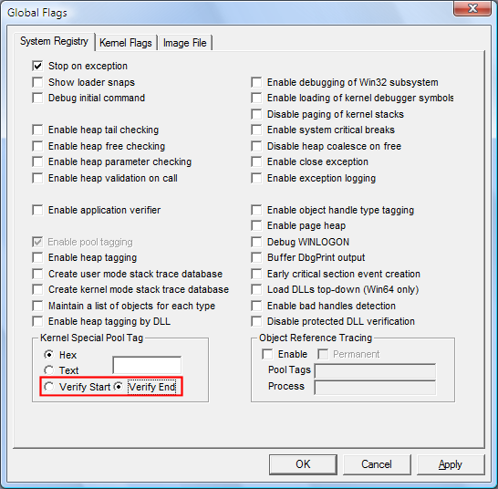 Screenshot of Verify Start and Verify End options on the System Registry tab in GFlags.