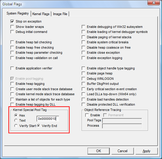 Screenshot of allocation size entered as a hexadecimal value in GFlags.