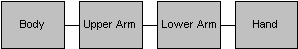 人間の腕の階層の図