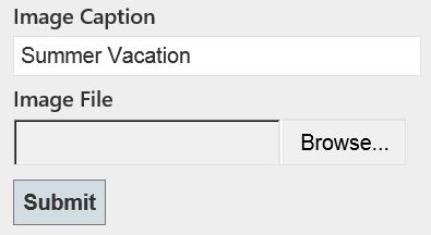 여름 휴가 텍스트와 이미지 파일 파일 선택기가 있는 이미지 캡션 필드를 보여 주는 HTML 양식의 스크린샷.