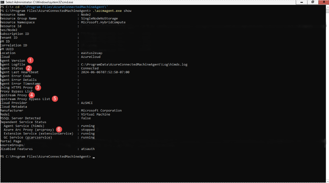 Screenshot that shows the Arc agent without gateway using script.