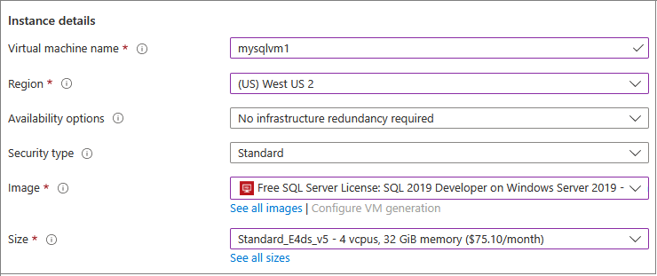 새 SQL VM에 대한 인스턴스 세부 정보의 Azure Portal 스크린샷.