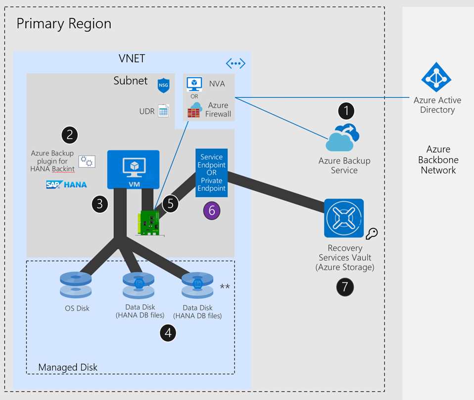 UDR + NVA/Azure Firewall + 프라이빗 엔드포인트 또는 서비스 엔드포인트가 있는 Azure 네트워크인 경우 SAP HANA 설정을 보여 주는 다이어그램