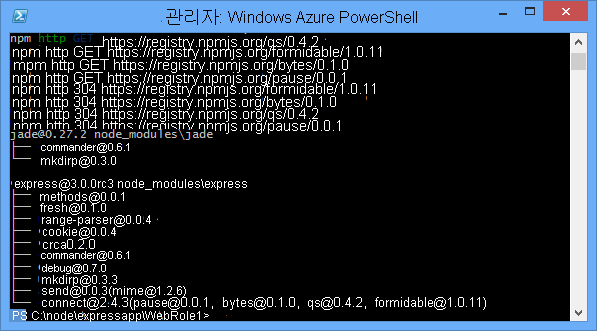 npm 설치 명령의 출력