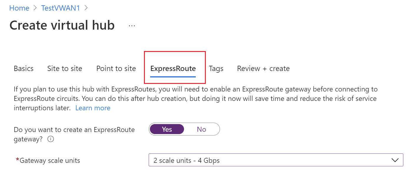 값을 입력할 수 있는 ExpressRoute 탭을 보여 주는 스크린샷