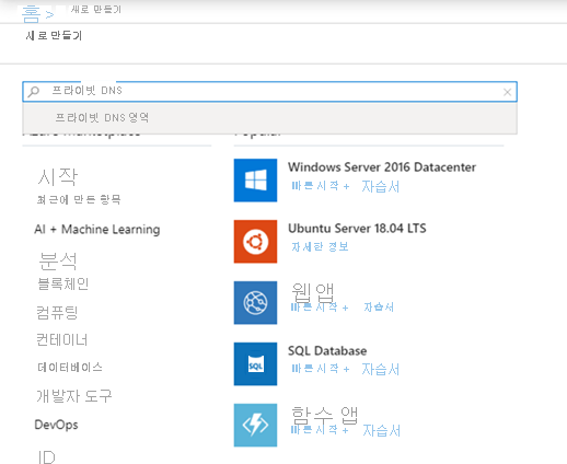 Azure Portal의 새 리소스 페이지에서 프라이빗 DNS 영역 검색을 보여 주는 스크린샷