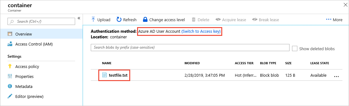 Microsoft Entra 계정으로 컨테이너에 현재 액세스하는 사용자를 보여 주는 스크린샷