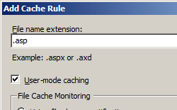 파일 이름 확장명 필드를 보여 주는 캐시 규칙 추가 대화 상자의 스크린샷