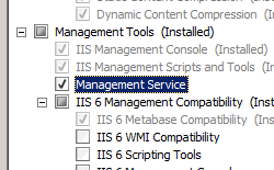 Windows Server 2008에서 선택한 관리 서비스를 보여 주는 스크린샷