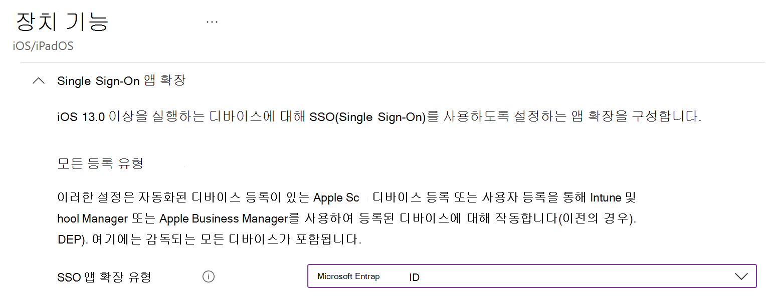 Intune iOS/iPadOS용 SSO 앱 확장 유형 및 Microsoft Entra ID 보여 주는 스크린샷