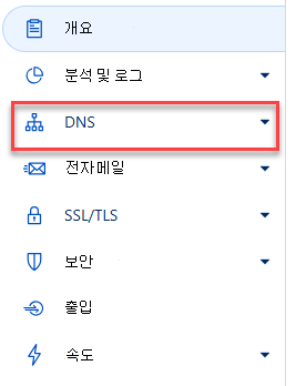 DNS를 선택합니다.