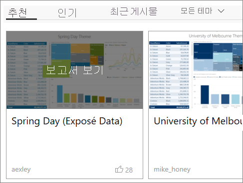 테마 갤러리 보고서 옵션의 스크린샷.