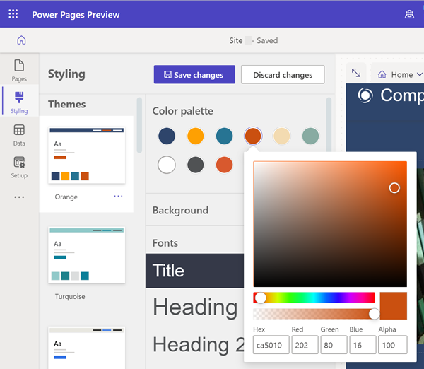 포털 내의 Color Picker 기능.