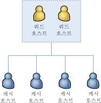 클러스터 리드 호스트 캐시