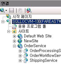 AppFabric의 연결 창