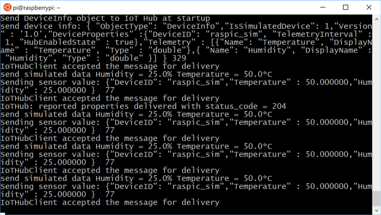 Raspberry Pi 앱의 출력