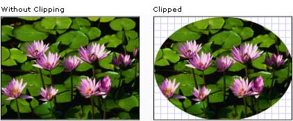 An Image with and without clipping