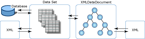 XML 데이터 집합