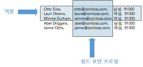 필드 수준 대비 역할 기반