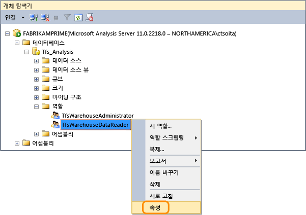 TFS 분석 데이터 판독기 역할 속성 열기