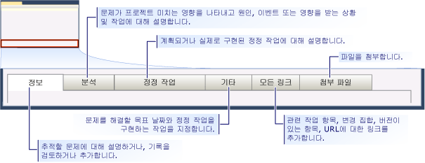 CMMI 문제 작업 항목 폼 - 탭