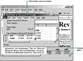 Opened embedded worksheet