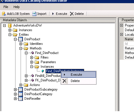 Execute Find_DimProduct_Instance method