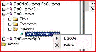 Execute GetCustomersInstance method