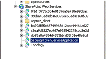 SecurityTokenServiceApplication website location