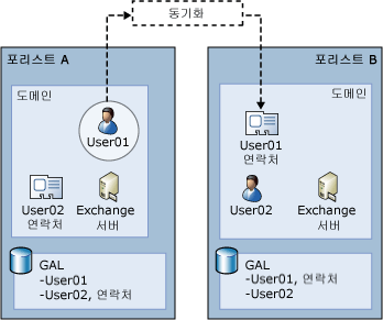 다중 포리스트가 있는 복잡한 Exchange 조직