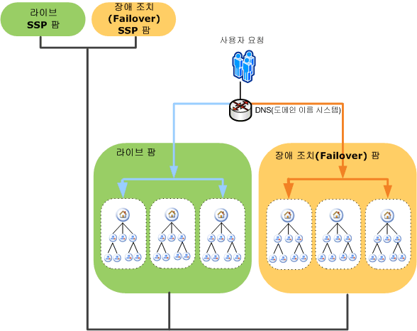 SSP 장애 조치(Failover) 팜