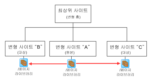 사이트 변형 계획