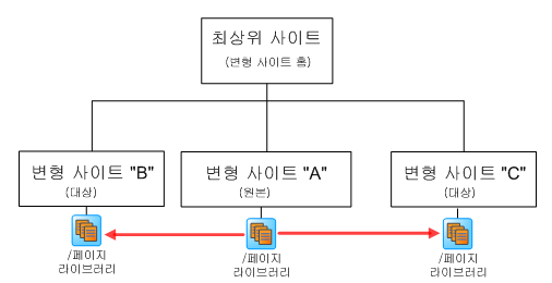 사이트 변형 계획