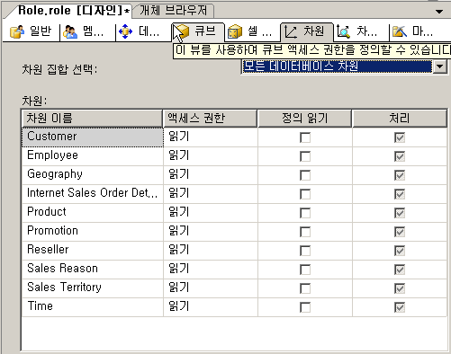 역할 디자이너의 차원 탭