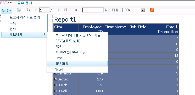 보고서 뷰어 웹 파트