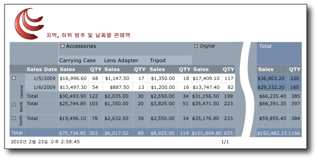 행렬에 데이터를 표시하는 보고서