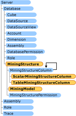 AMO DataMining 클래스