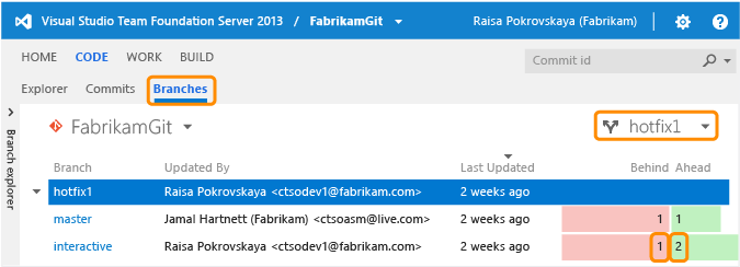 Git branches on the web portal