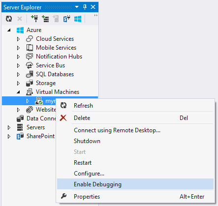 Virtual machine enable debugging command