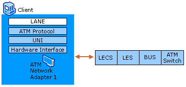 LANE Client, LECS, LES, and BUS