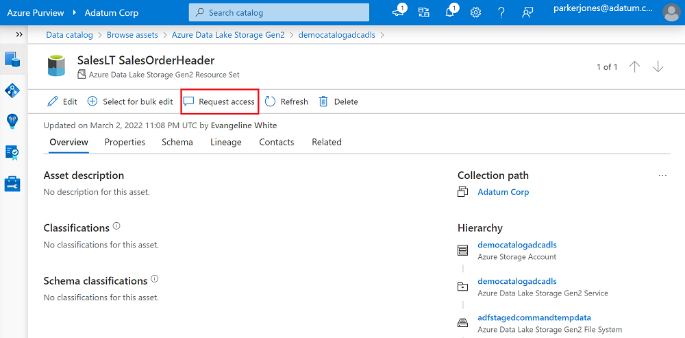 액세스 요청 단추가 강조 표시된 데이터 자산의 개요 페이지 스크린샷