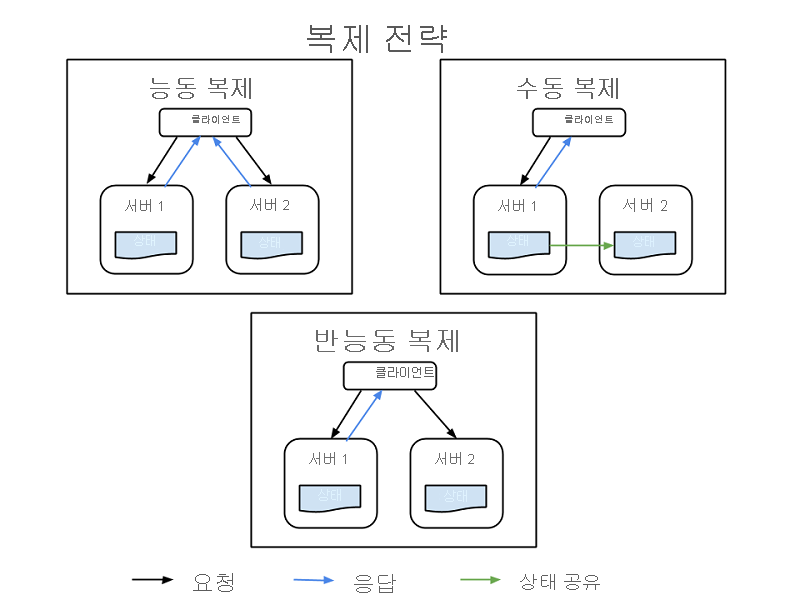 복제 전략.