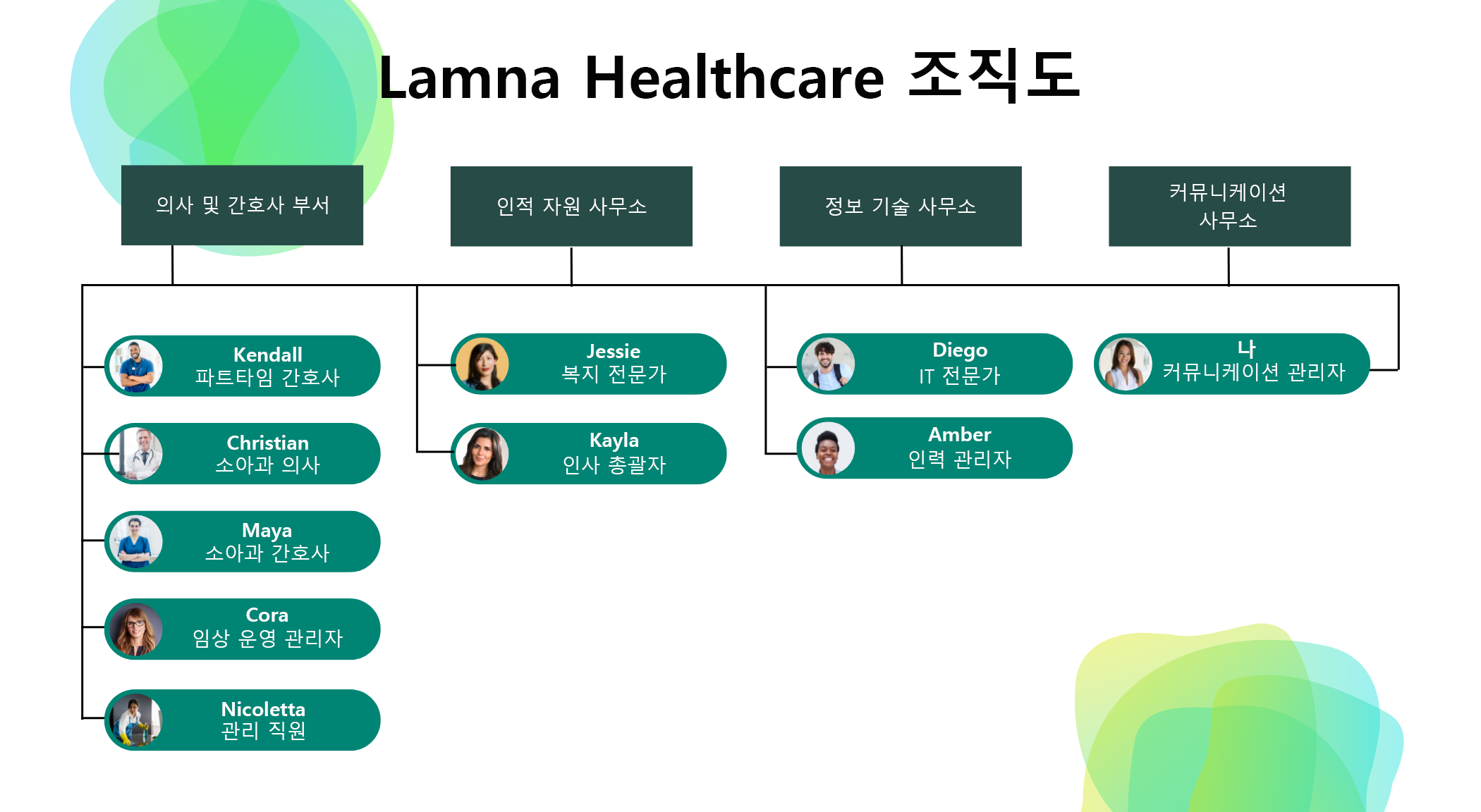 간소화된 Lamna 의료 조직도 다이어그램