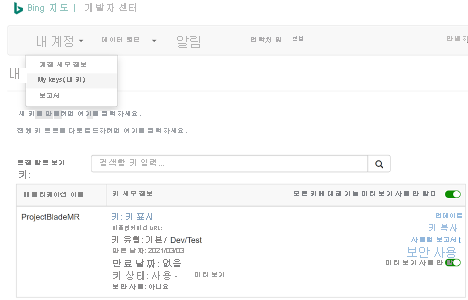 개발자 키 세부 정보를 보여 주는 내 키 페이지가 선택된 Bing 지도 개발자 센터 포털의 스크린샷
