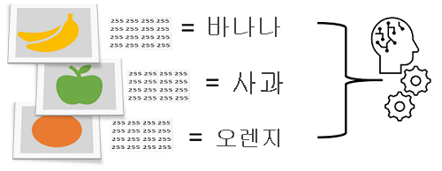 픽셀을 기능으로, 과일을 클래스로 사용하여 사진을 분류하는 스크린샷.