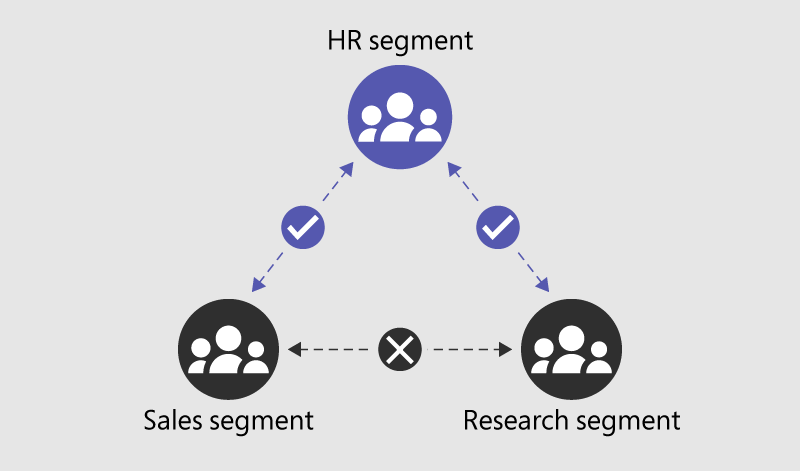 Diagram showing an example of segments in an organization.