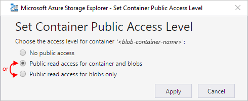 Screenshot shows options to set container public access level.