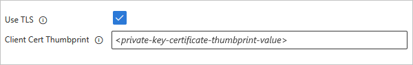 Screenshot shows Standard workflow, MQ built-in connection box, Use TLS property selected, and Client Cert Thumbprint property with thumbprint value.