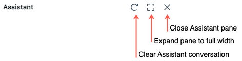 Icons at the top of the Assistant pane.