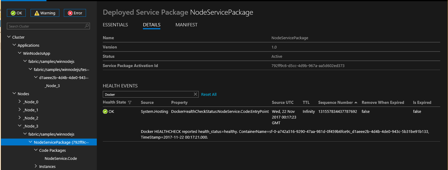 Screenshot shows details of the Deployed Service Package NodeServicePackage.